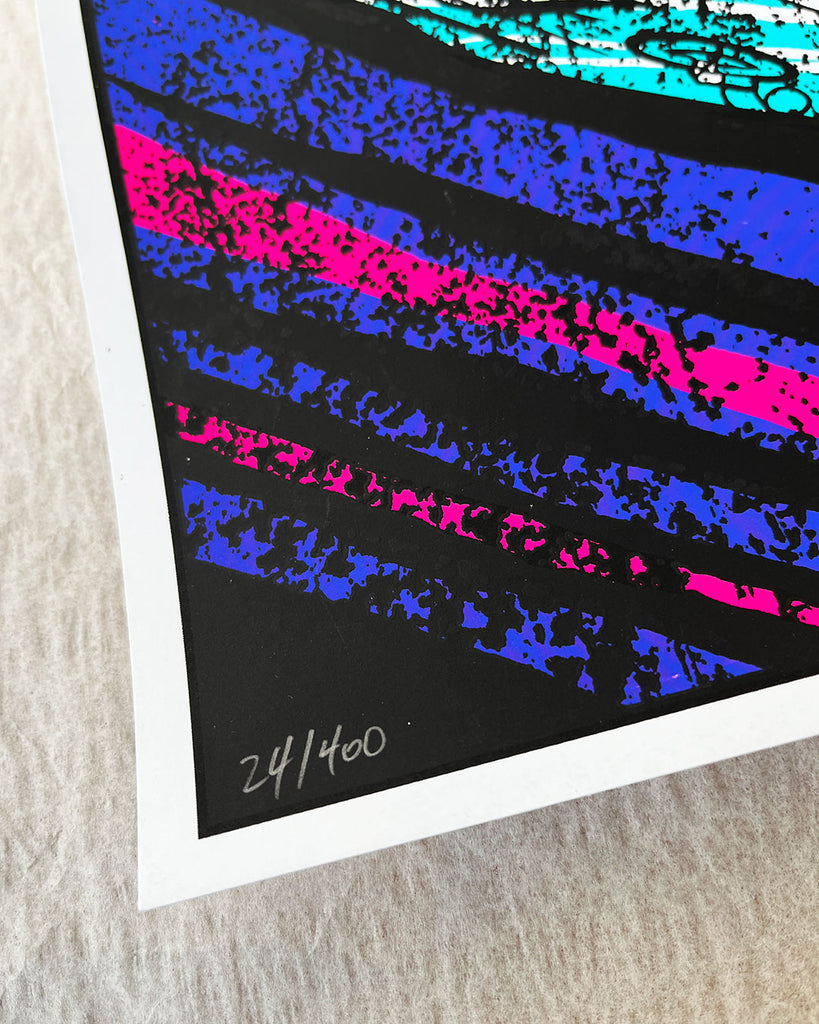 Foo Fighters (Tour 2015) Diptyque