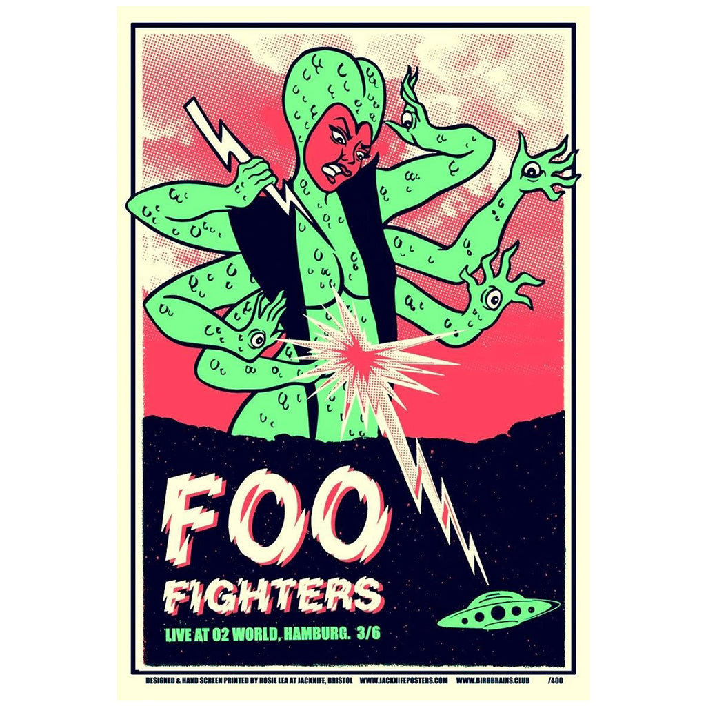 Foo Fighters (Hamburg 2015)