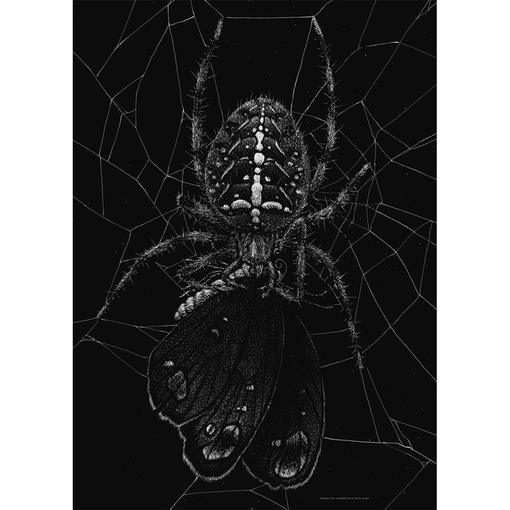 L’Araignée et le papillon