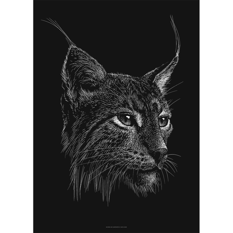 Lynx