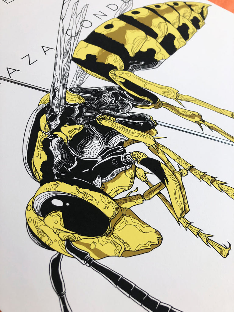 Bloc Party (Mexico 2016)