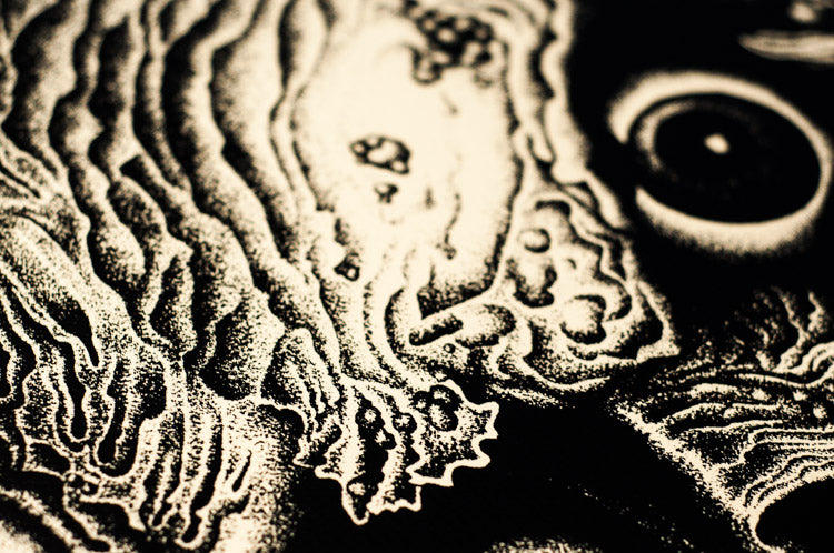 Rafel Delalande, Ateliers Fantôme - French Paper Art Club