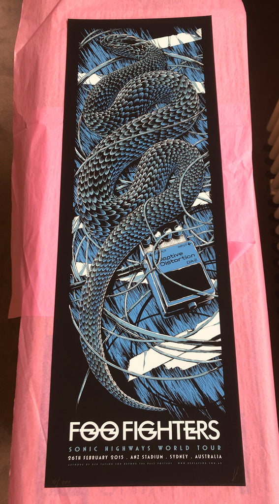 Foo Fighters (Sydney 2015)