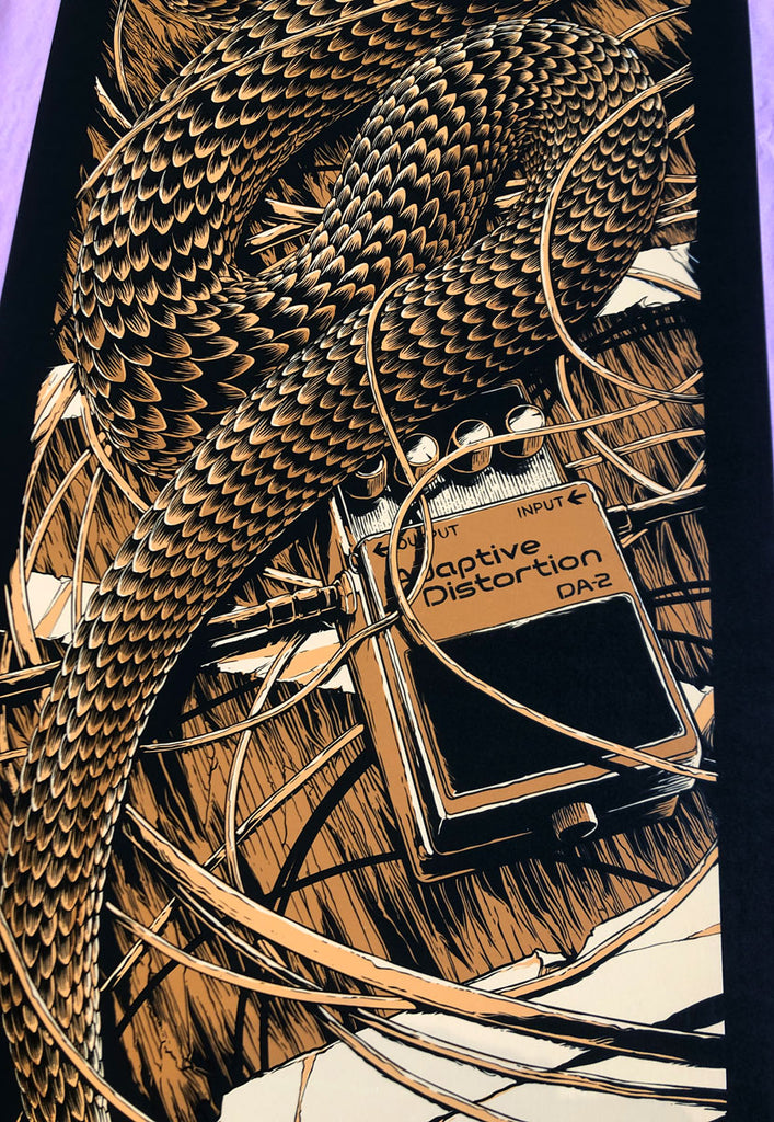 Foo Fighters (Hobart 2015)