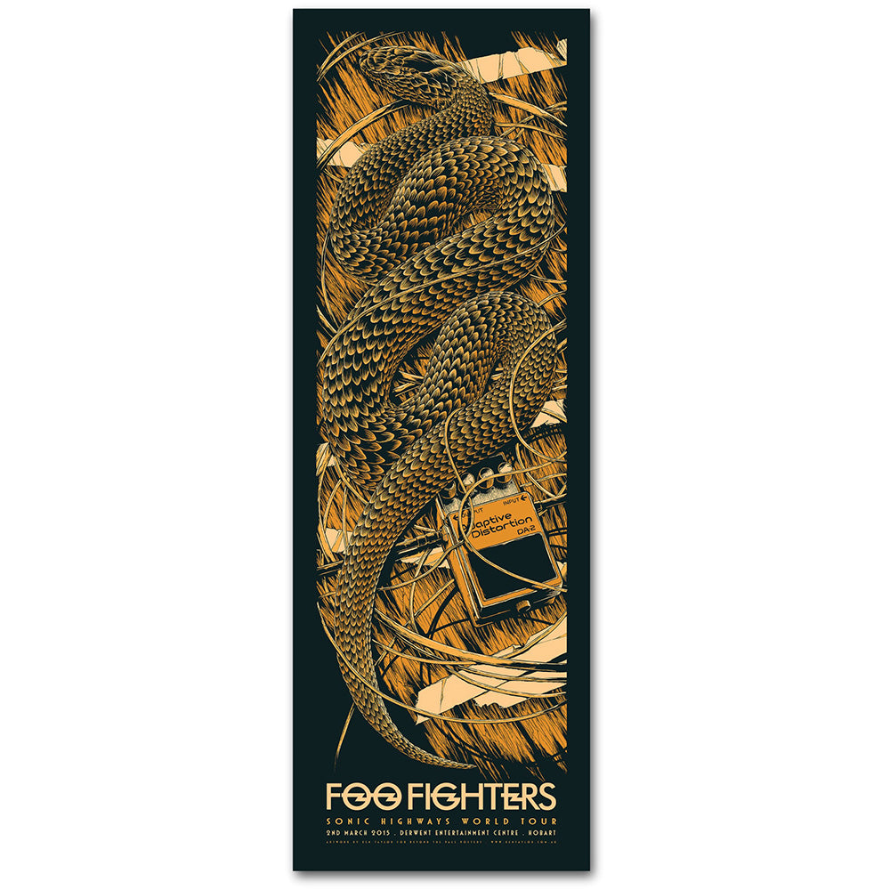 Foo Fighters (Hobart 2015)