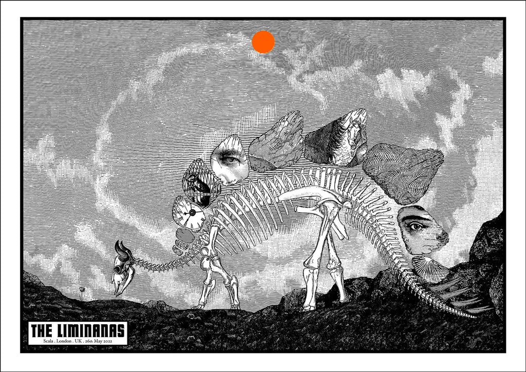 The Liminanas (London 2022)
