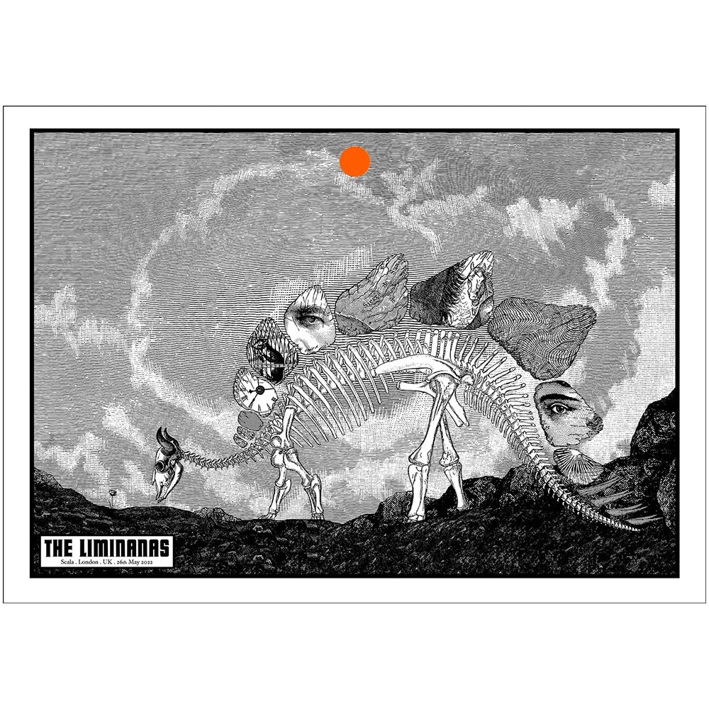 The Liminanas (London 2022)