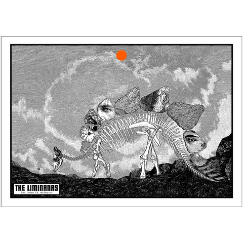 The Liminanas (London 2022)